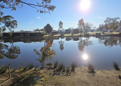 Morning sun reflecting off the calm waters of the lake at Stawell Hotel Motel Accommodation, surrounded by trees and greenery, offering a peaceful and scenic outdoor experience in the Grampians region