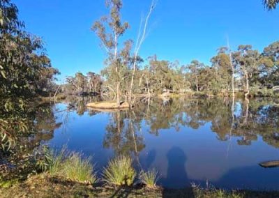 Lakeside view within the grounds of Stawell Grampians Gate C&C Park – a peaceful setting shared by Cabins, Dwellings, Caravans, & Glamping Tents.