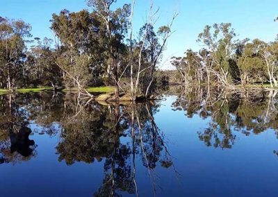 The serene lake at Stawell Grampians Gate C&C Park offers breathtaking reflections and peaceful views—perfect for unwinding in nature.