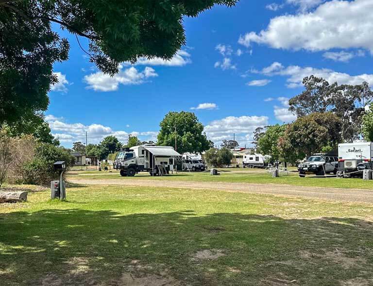 Powered sites with a variety of caravans and RVs set up under shady trees on grassy areas, with power boxes visible throughout. One of the options at Stawell Grampians Gate C&C Park – Cabins, Dwellings, Caravans, & Glamping Tents.